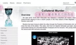维基解密最新爆料文件,揭秘国际政坛内幕与权力博弈